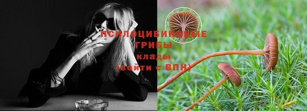 2c-b Ельня