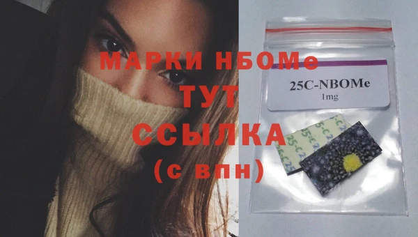2c-b Ельня